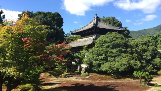 夏の京都・宿坊ステイで心を整える1泊2日