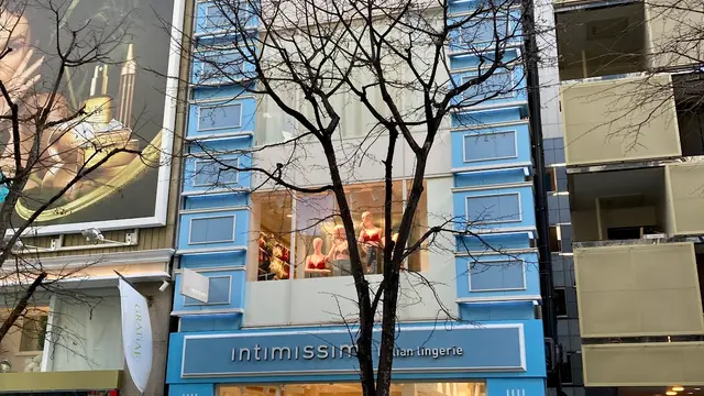 【東京】おすすめの東京散策②日帰りショッピング🛒