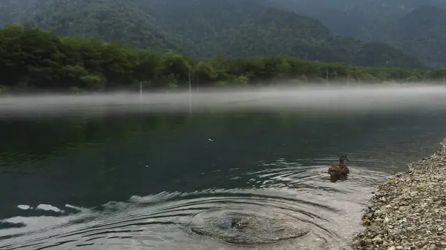 夏の奥飛騨  涼をとる旅