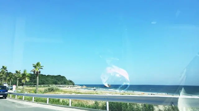 海を満喫