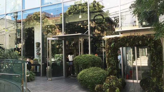 いるだけで癒されるカフェ巡り@表参道