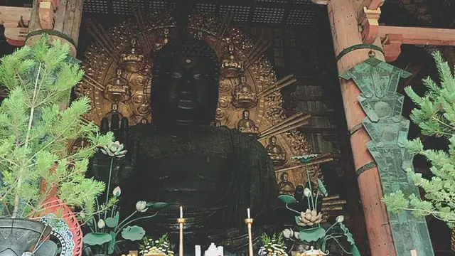 奈良満喫一人旅
