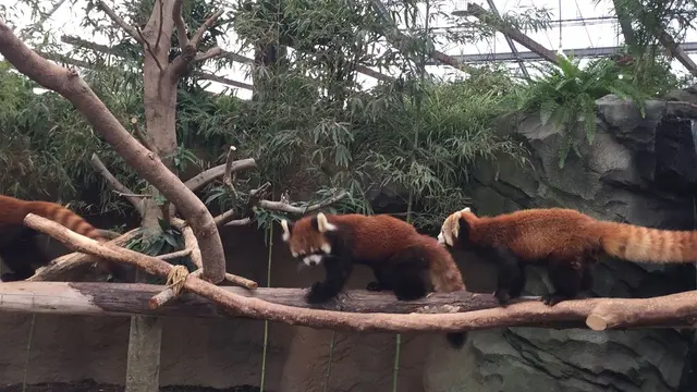 神戸に行ったらここ！