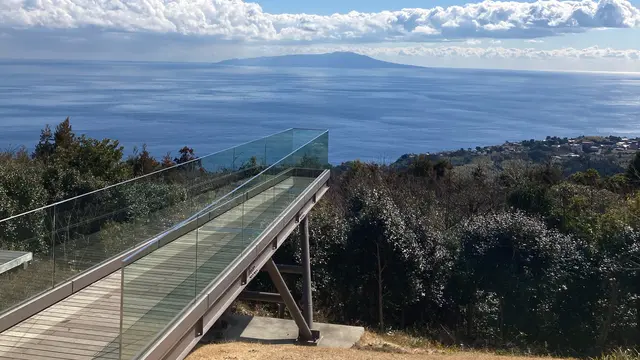 熱海〜伊東🌸踊り子号旅2025行程表有り