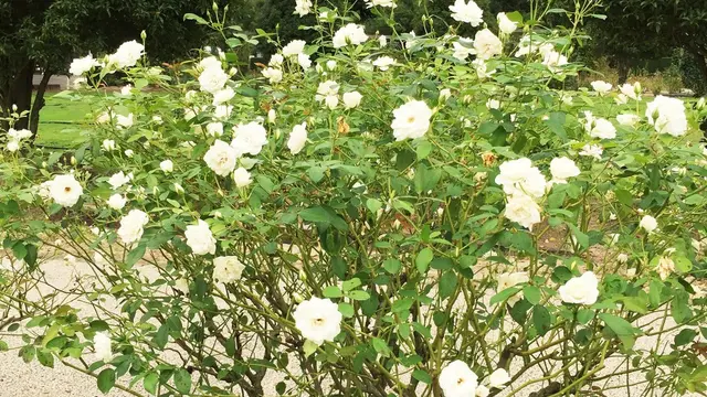 デートにいかがですか😊