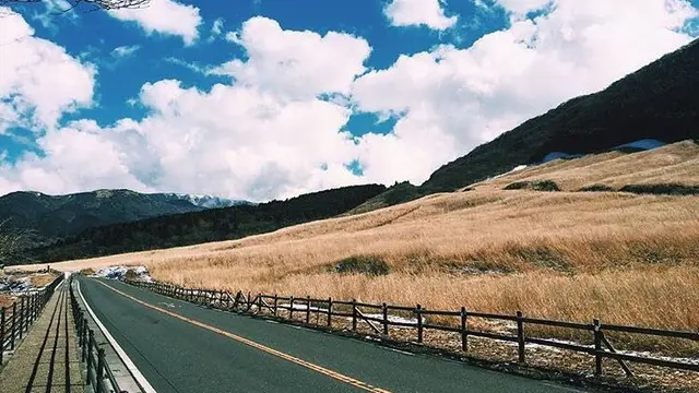 【 箱根 】デートで使える！！SNSにアップしたい箱根定番スポット。