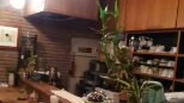 ほっこりと和みながら日本茶が飲める店
