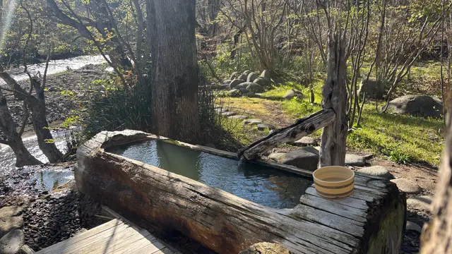 銀婚湯と函館旅行