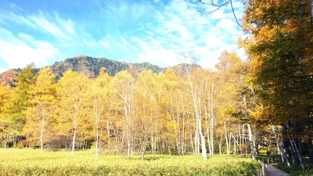 【紅葉満喫🌳🍂】ハイキングで楽しむ日帰り日光ぶらり旅♡