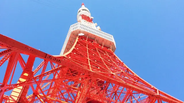 東京タワーがシンボルの港区へおでかけしよう🗼🍴🐬