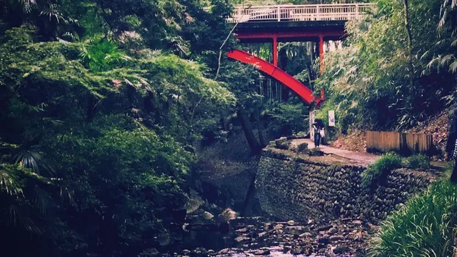 等々力渓谷