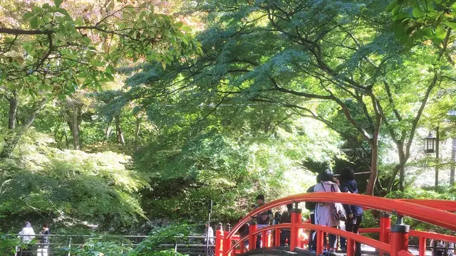 紅葉を求めて掃部ケ岳ハイキング&伊香保温泉一泊二日