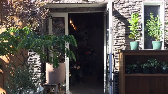 中目黒 お花屋さん特集💐