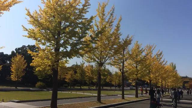 手軽に行ける紅葉スポット、昭和記念公園でぷらぷらしよう