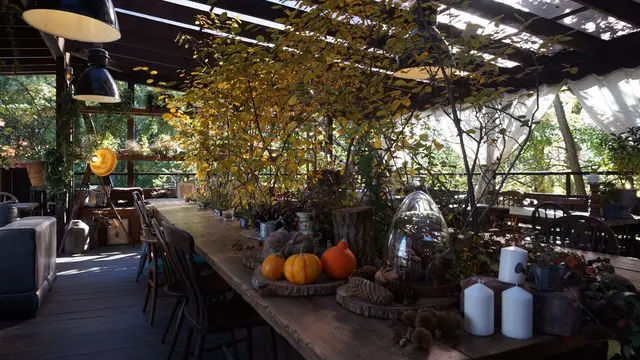 【軽井沢】のオススメスポットぎゅっと♡!