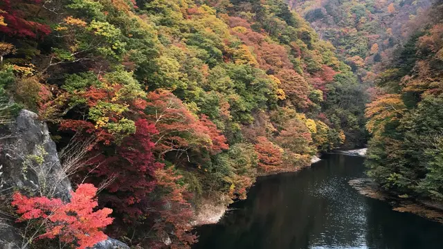 14時発、紅葉と、日帰り湯、山梨の旅。