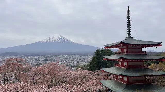 山梨、春の小旅行（河口湖周辺）