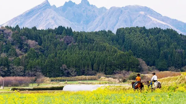 【阿蘇 高森】親子にオススメ☆高森で自然と自然の恵みを体感・体験