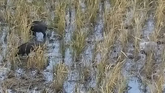 高森の奥阿蘇を楽しむ