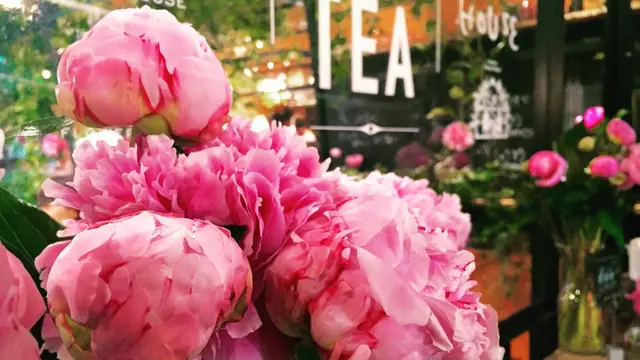 青山はcafeの宝庫。歩いた分だけ行きつけのcafeが増える🍵✨