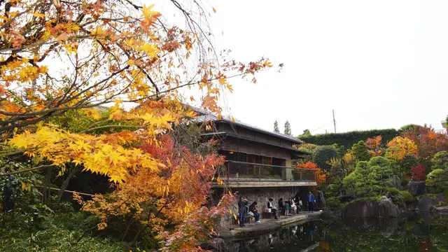 こんなところ知ってた⁉︎一度は行きたい池袋ディープスポット！