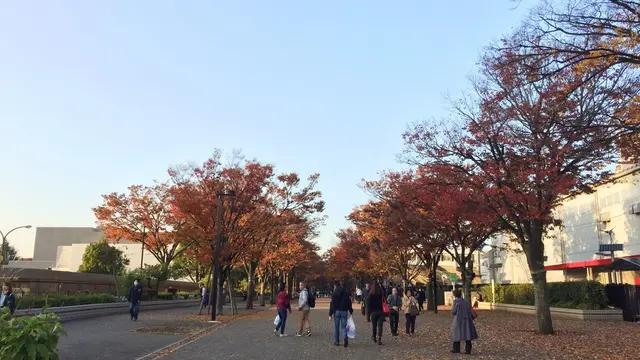 秋の渋谷🍁ゆったりショッピング