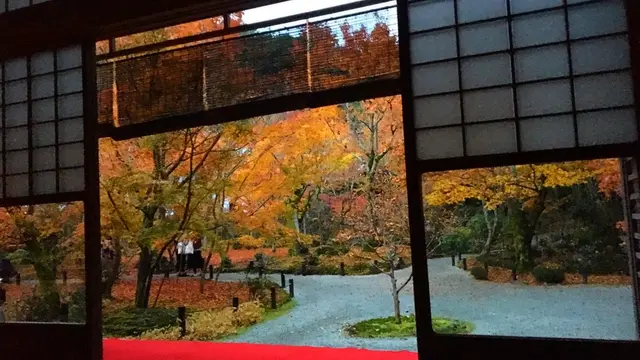 【秋の京都は裏切らない!】そうだ、京都行こう!紅葉編