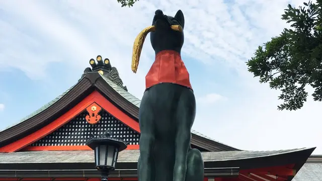 伏見稲荷千本鳥居→東福寺