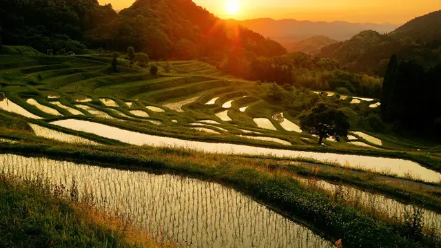 贅沢な地元、これが千葉！車で半日充実時間☆