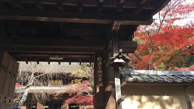 ✨名古屋で紅葉狩り