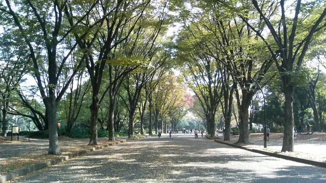 駒澤大学前駅周辺で芸能人が過ごす休日