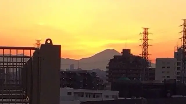 🗻おにぎり🍙でまったりピクニックしよう🍱【成増・東武練馬エリア】【板橋区】