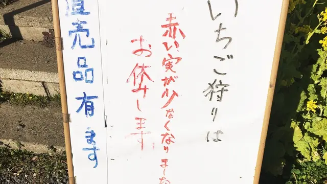 弾丸 千葉 女子旅