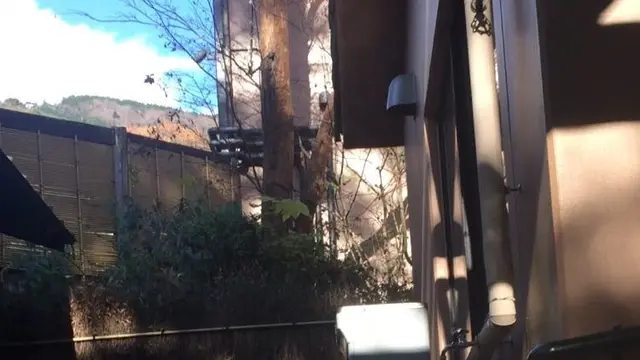 冬の箱根〜逗子