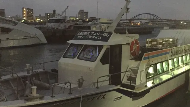 日本のジャングル西表島へ