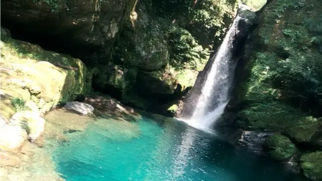 〜癒しの高知旅〜