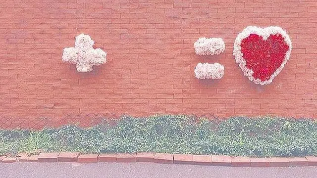 インスタ映えする写真スポット