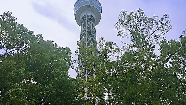 遅く起きた日は港の近くでゆったり散歩