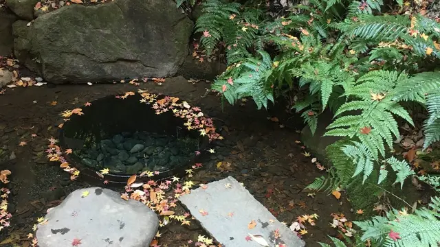 都内、徒歩でパワースポット巡り♡渋谷近辺編