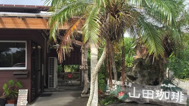 奄美大島満喫プラン♪