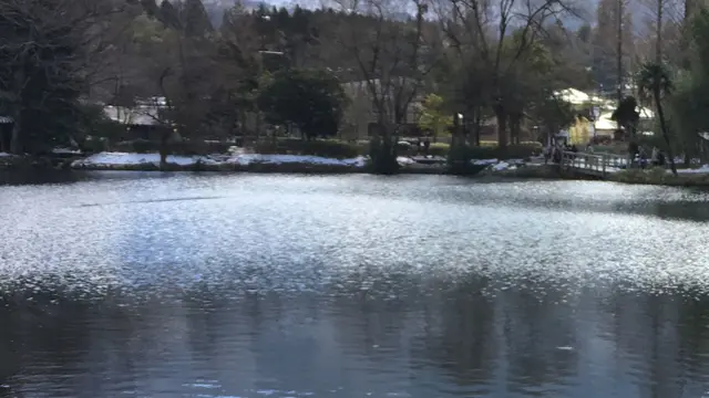 湯布院温泉と九重夢大橋