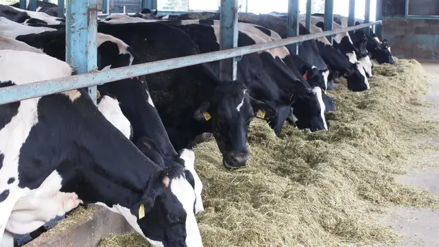 【群馬】一泊伊香保♨️車🚘でしっぽり大人のグループ旅行