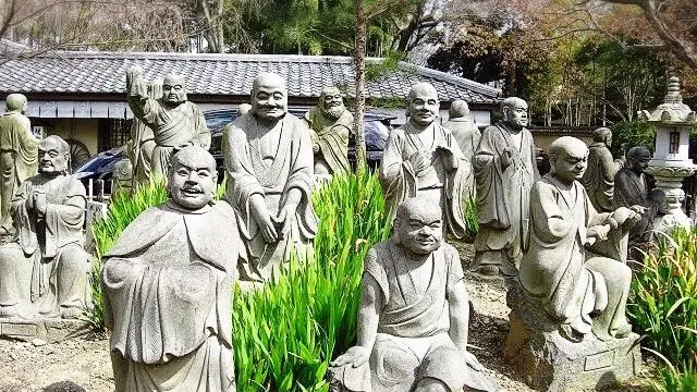 桜の京都で和と洋を楽しもう。