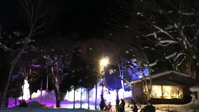 氷点下の森