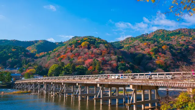 ☘一日京都観光☘嵐山･岡崎