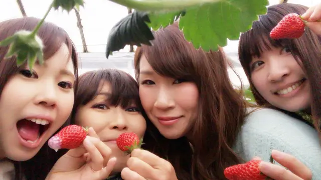 女子旅 珍道中-。神奈川〜山梨