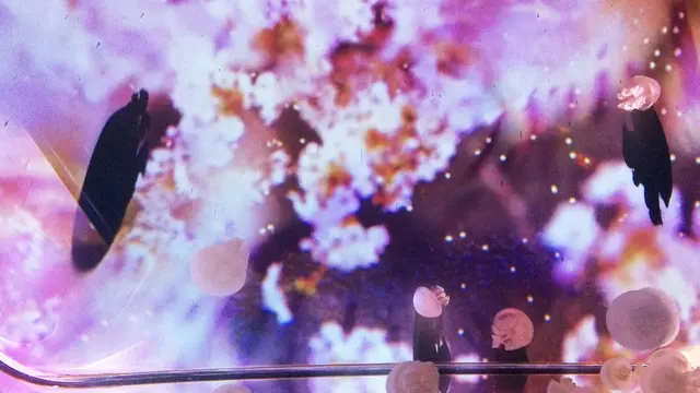 都内で、、生き物と自然と触れ合おう🐼💓🐠🌱🏮👘