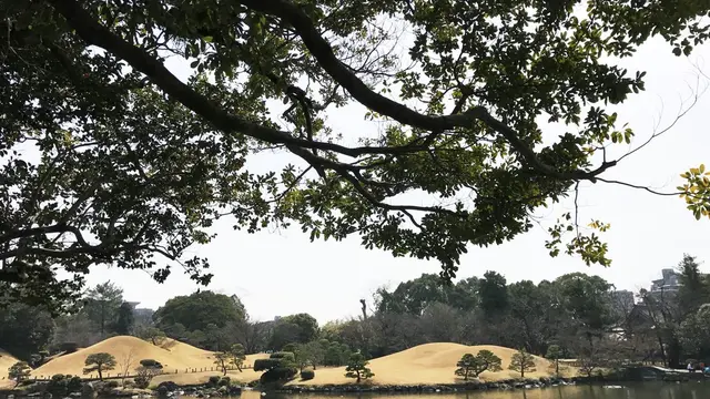 熊本ぶらぶら