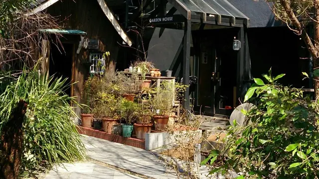 ✨鎌倉満喫散策✨