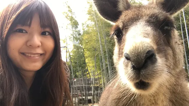 カンガルーと自撮りできる♡東京から1時間半の動物スポット。